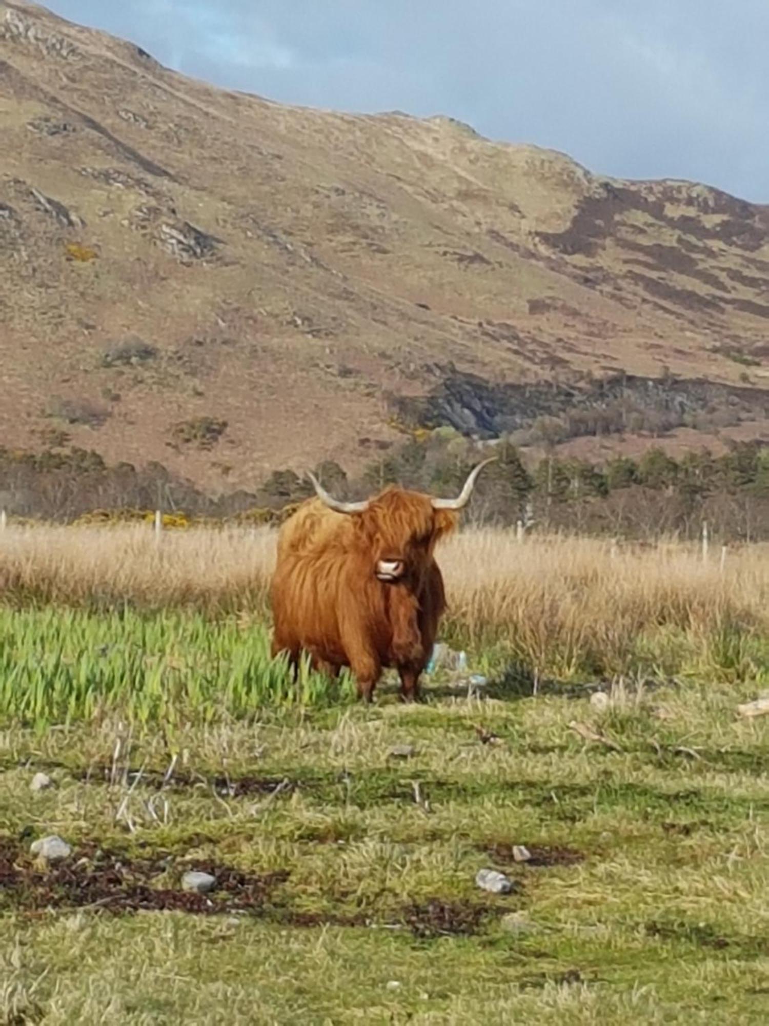 Creaggan Ard Guest House Kyle of Lochalsh Zewnętrze zdjęcie